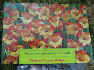 IMG_5794-2.jpg