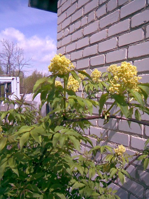 Фото000.jpg