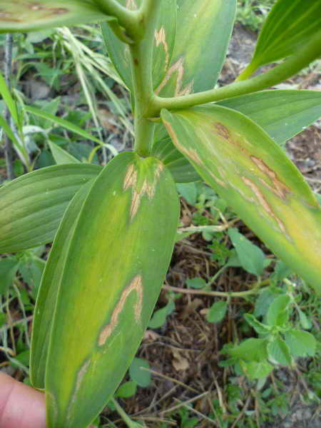 P1020101_resize_resize_2.jpg