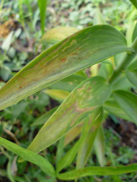 P1020102_resize_resize_2.jpg