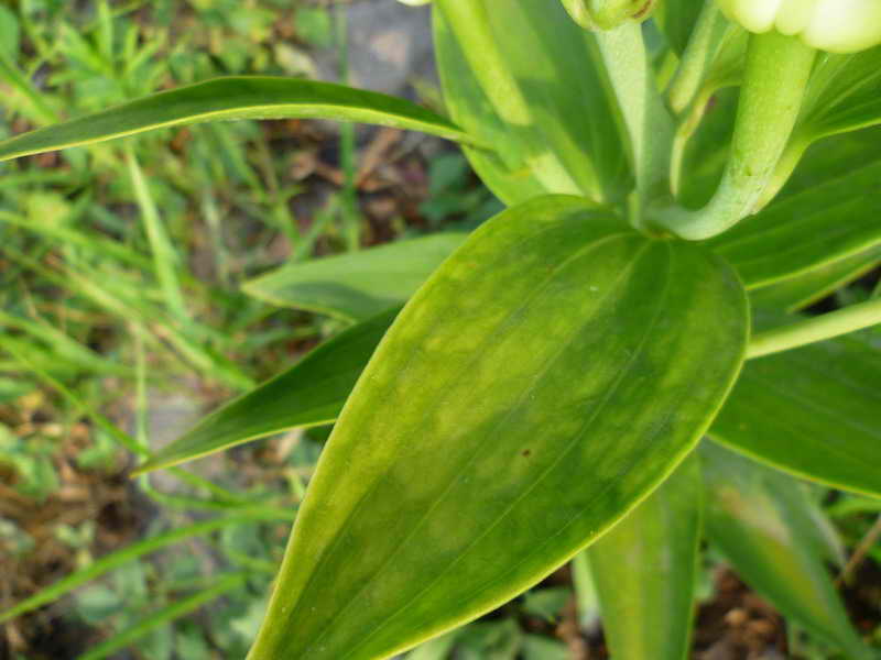 P1020103_resize_resize_2.jpg